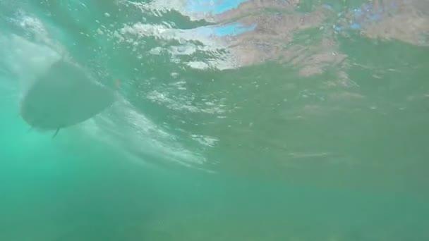 SLOW MOTION UNDERWATER: Surfeando en una gran onda de tubo — Vídeo de stock