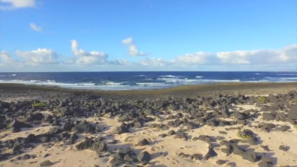 Antenne: brekende golven en prachtige bloeiende strand in Canarische eilanden — Stockvideo