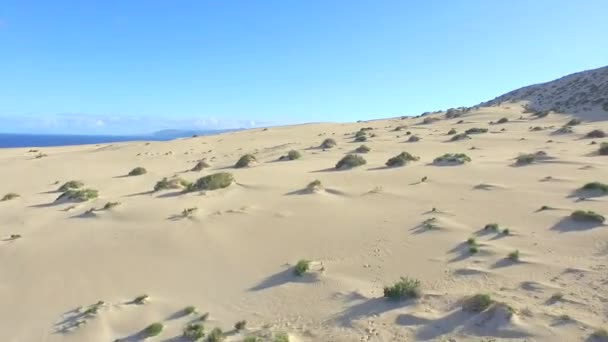 AERIAL: Voando acima de grandes dunas de deserto com pequenos arbustos — Vídeo de Stock