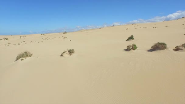 AÉRIAL : Survoler le désert sans fin et les dunes de sable 