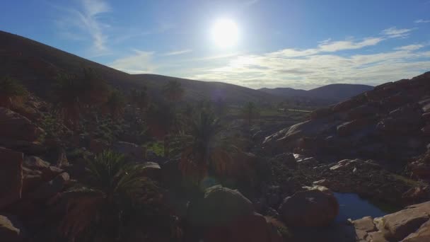 АЭРИАЛ: пальмы и река, протекающая через скальный каньон — стоковое видео