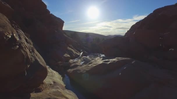 AERIAL: Flying through rocky canyon with lakes and palm trees — Stock Video