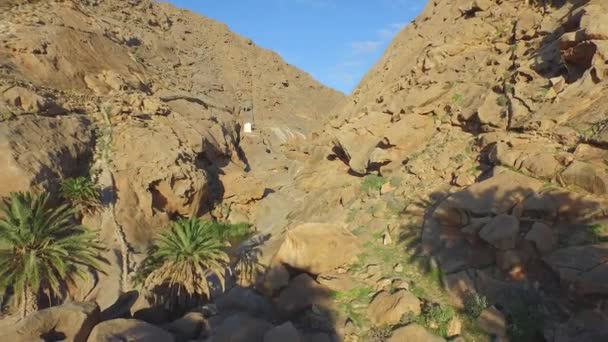 Antenna: Flying keresztül gyönyörű zöld oázis a sziklás kanyon — Stock videók