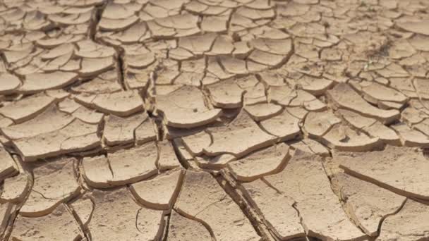 CHIUSURA: Terreno rovesciato nel deserto della valle asciutta — Video Stock