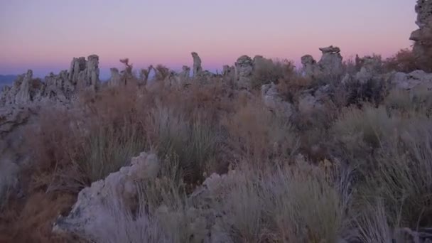 AERIAL: Volando sobre las tufas del lago Mono en colorido atardecer — Vídeo de stock