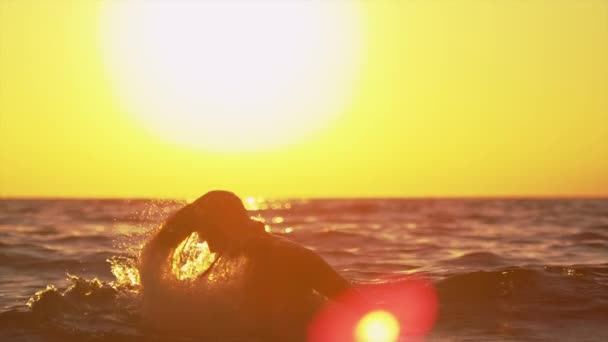 LOW MOTION: Mulher espirrando água com cabelo no pôr do sol oceano — Vídeo de Stock