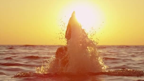 MOCIÓN LENTA: Mujer rociando agua del océano con su cabello largo — Vídeos de Stock