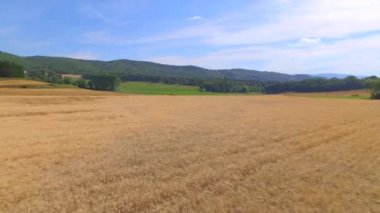 Hava: Güneşli yaz aylarında büyük hasat buğday tarlası