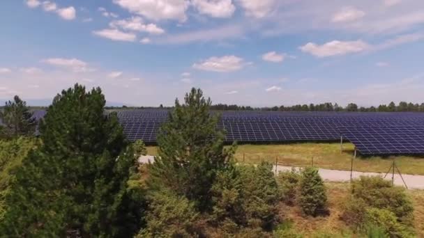 AERIAL: Gran planta de paneles solares en un gran campo soleado — Vídeo de stock