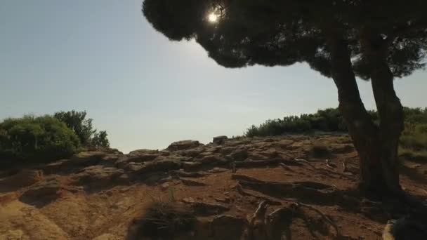 空中:海の上の高い岩の崖の上を飛ぶ — ストック動画
