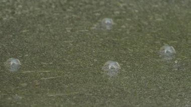 Ağır çekim portre: damla su birikintisi içine düşen su yağmur