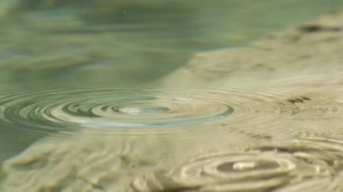 Ağır çekim portre: su daireler oluşturma göle düşen Waterdrop