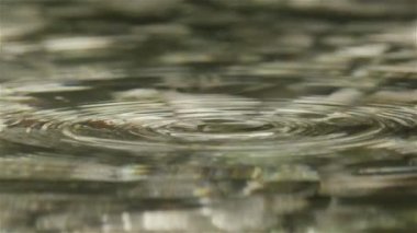 Ağır çekim makro: güzel desenler oluşturma waterdrops bırakarak