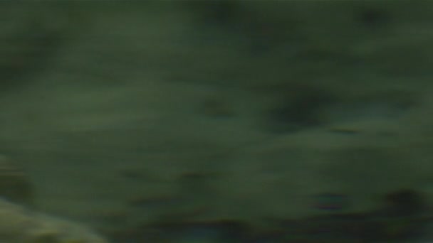Медленное движение: Капля воды падает в озеро брызгает вокруг — стоковое видео