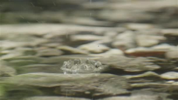 MACRO DE MOCIÓN LENTA: Gota de agua cayendo en el lago de montaña pura — Vídeo de stock