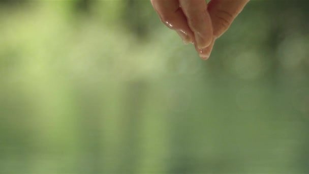 Zeitlupe aus nächster Nähe: Wassertropfen tropfen von nassen Fingern — Stockvideo