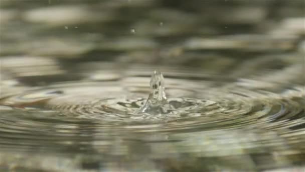 SLOW MOTION CLOSEUP: Водопровідні краплі потрапляють у поверхню води — стокове відео