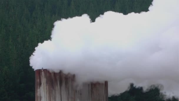 Rook afkomstig uit geothermische verwarmingsinstallatie schoorsteen Nieuw-Zeeland — Stockvideo