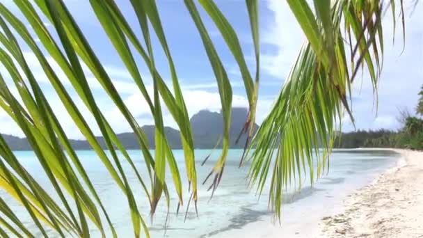 Gyönyörű egzotikus fehér homokos strand a napsütötte Bora Bora — Stock videók