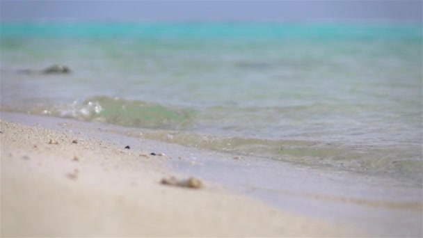 SLOW MIION MACRO: Морские волны, моющиеся на белом песчаном пляже — стоковое видео