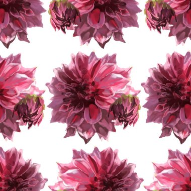 Kırmızı ve pembe yıldız çiçekleri üzerine elle çizilmiş suluboya resim ile güzel bir arkaplan. Hisse çizimi.