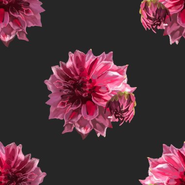 Kırmızı ve pembe yıldız çiçekleri üzerine elle çizilmiş suluboya resim ile güzel bir arkaplan. Borsa çizimi. Siyah arkaplan 