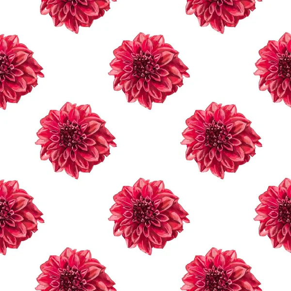Beautiful Background Hand Drawn Delicate Watercolor Painting Red Pink Dahlias — Stock Photo, Image