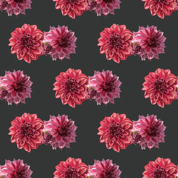 Kırmızı Pembe Yıldız Çiçekleri Üzerine Elle Çizilmiş Suluboya Resim Ile — Stok fotoğraf