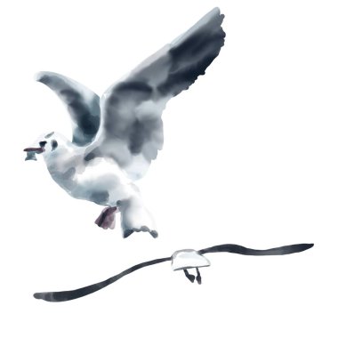 Gökyüzünde uçan bir martı sürüsü. Resim suluboya 