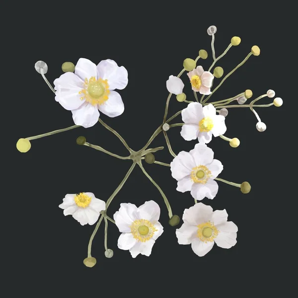Witte bloemen met een geel centrum. struik van witte bloemen. aquarelillustratie — Stockfoto