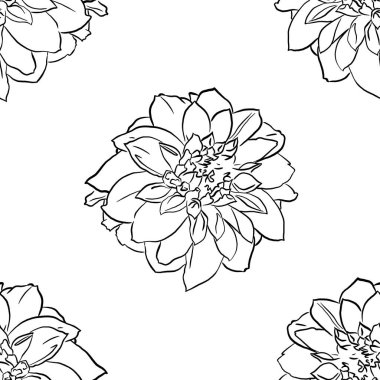 El çizimi doğrusal yıldız çiçekleri ile güzel bir arkaplan. Hisse çizimi.