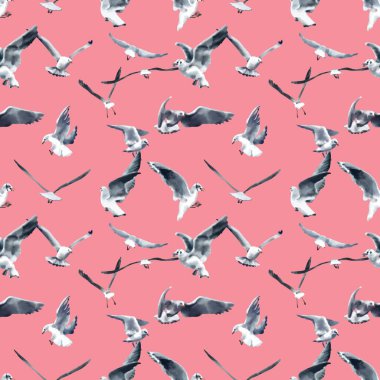 Gökyüzünde uçan bir martı sürüsü. Resim suluboya 