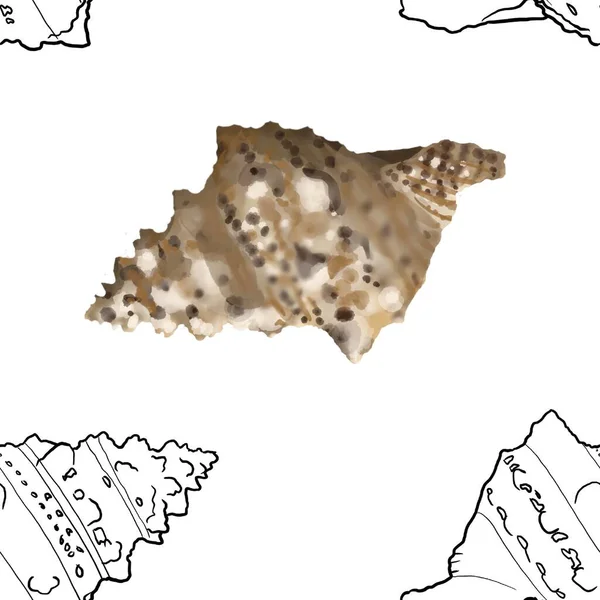 Muster Muschel auf dem Hintergrund. hochwertige Aquarell-Illustration. Meeresdesign — Stockfoto