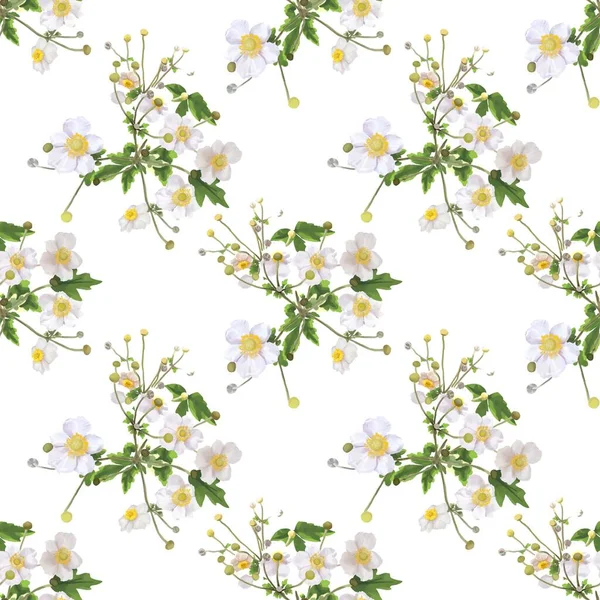 Λευκά λουλούδια με κίτρινο κέντρο. θάμνος με λευκά λουλούδια. εικονογράφηση υδατογραφίας — Φωτογραφία Αρχείου
