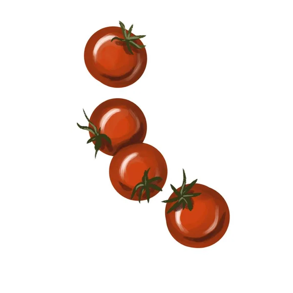 Tomates cereja frescos isolados pintados com aquarelas. Legumes suculentos brilhantes. — Fotografia de Stock