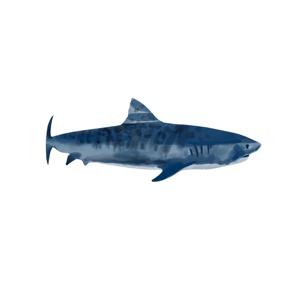 Acquerello squalo disegnato a mano illustrazione, predatore, isolato — Foto Stock
