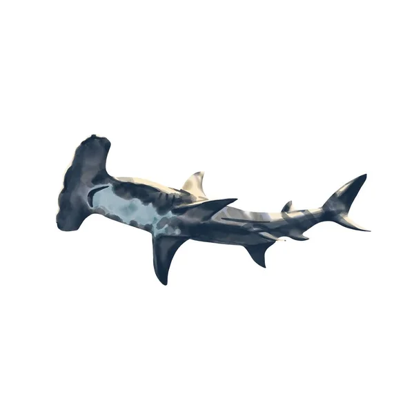 水彩画的锤头鲨手绘插图，海洋悬崖，水下生物，掠食者。在白色背景下隔离 — 图库照片