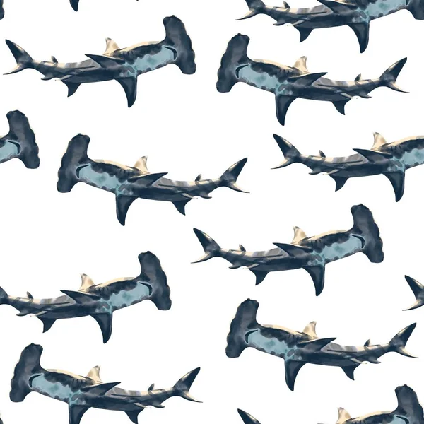 Aquarel naadloos patroon hamerhaai hand getekend illustratie — Stockfoto