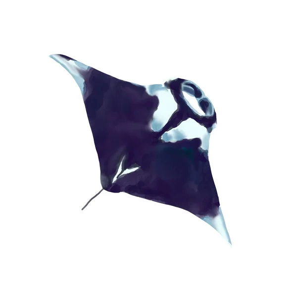 Aquarel illustratie van manta straal op een witte achtergrond. Realistische onderwater zee en oceaan wild dier. — Stockfoto