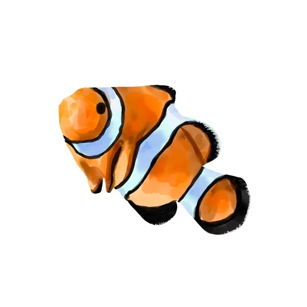 Ilustración en acuarela de un pez payaso naranja. Peces anfipriones exóticos de agua salada aislados sobre fondo blanco. — Foto de Stock