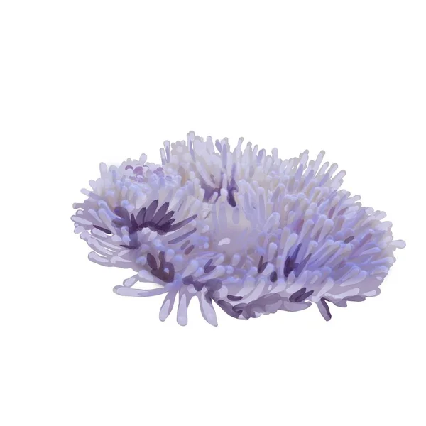 Korálový útes. Různé barevné polypy. Ručně kreslené akvarel ilustrace na bílém pozadí — Stock fotografie