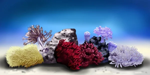 サンゴ礁。異なる色のポリープ。白地に手描き水彩画 — ストック写真