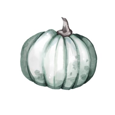 İzole edilmiş beyaz arka planda güzel beyaz, gül uçlu mavi balkabakları. İzole edilmiş beyaz arka planda sonbahar elementleri. Suluboya çizimi. El çizimi. Şükran günü kartları için mükemmel.