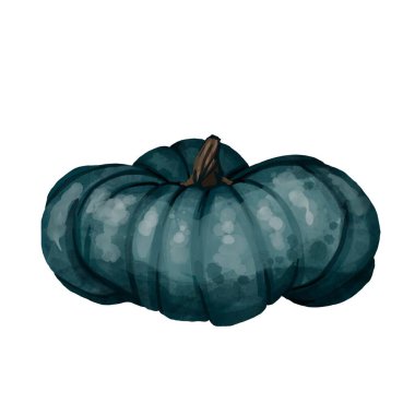 İzole edilmiş beyaz arka planda güzel beyaz, gül uçlu mavi balkabakları. İzole edilmiş beyaz arka planda sonbahar elementleri. Suluboya çizimi. El çizimi. Şükran günü kartları için mükemmel.