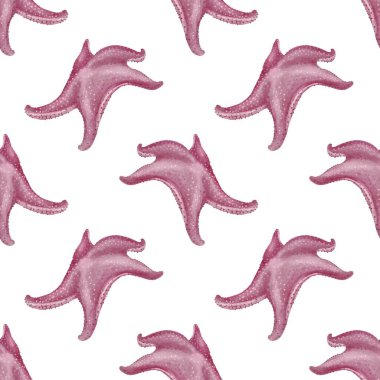 Arka planda dikişsiz deniz yıldızı desenlerinin suluboya çizimi