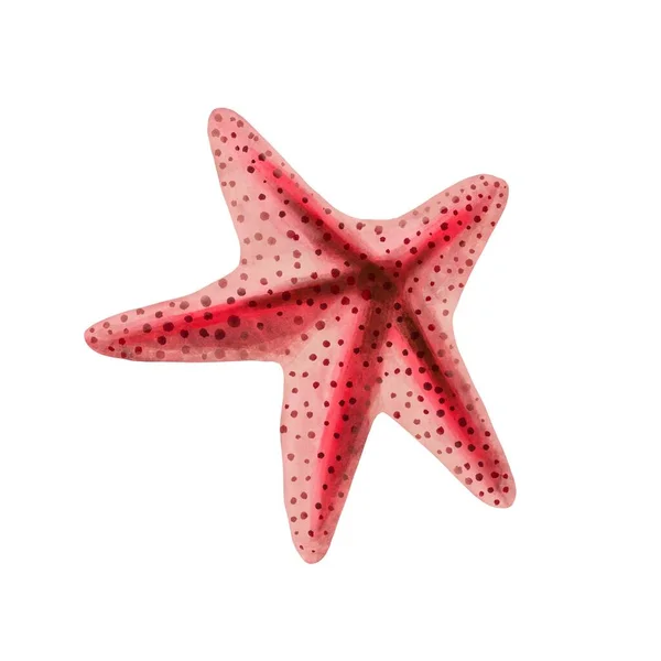 Pintura aquarela Starfish isolado no fundo branco. Ilustração da aquarela, desenho do animal marinho. — Fotografia de Stock