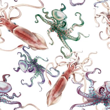 Suluboya mürekkep balığı ahtapot deseni, elle boyanmış çizimler.