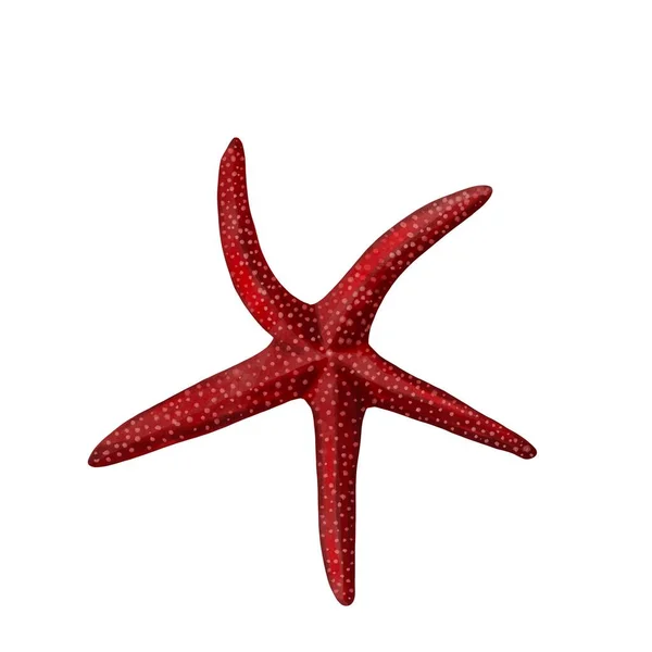 Starfish akvarell målning isolerad på vit bakgrund. Akvarell illustration, havet djur ritning. — Stockfoto