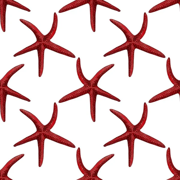 Ilustração aquarela de estrela do mar sem costura padrão no fundo — Fotografia de Stock
