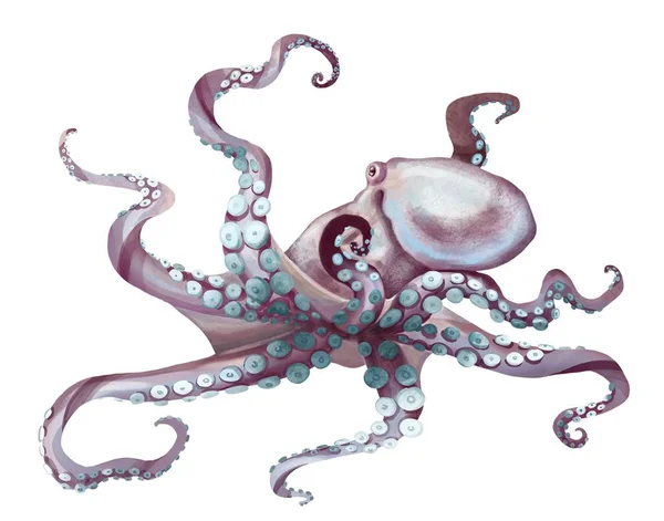 Aquareloctopus. Zee pulpa, duivels met tentakels illustratie is geïsoleerd op een witte achtergrond — Stockfoto
